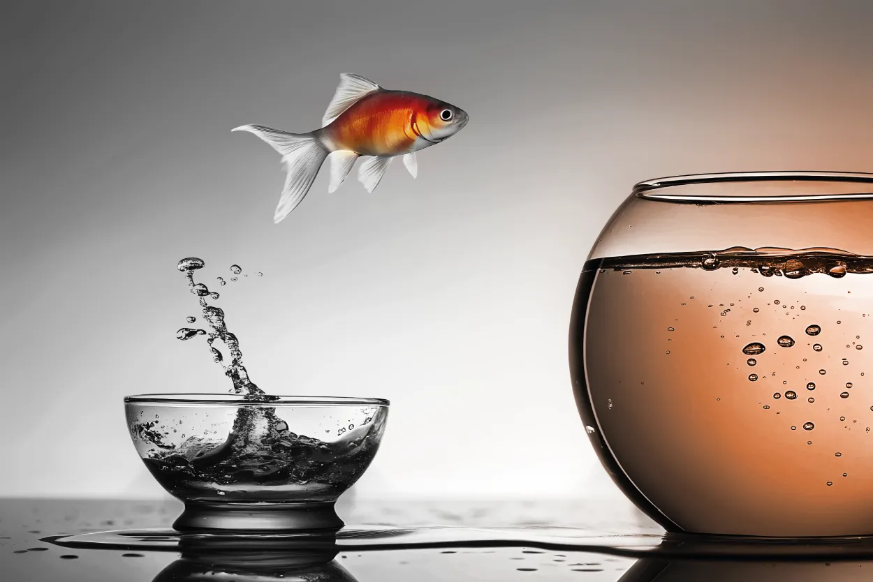 francesco grassi articoli sito_cambiamento